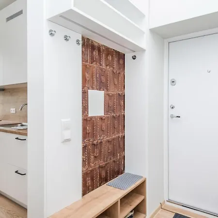 Updated 2bdr W-balcony, Vintage Apt In Upscale Neighborhood, By Cohost Vilnius
